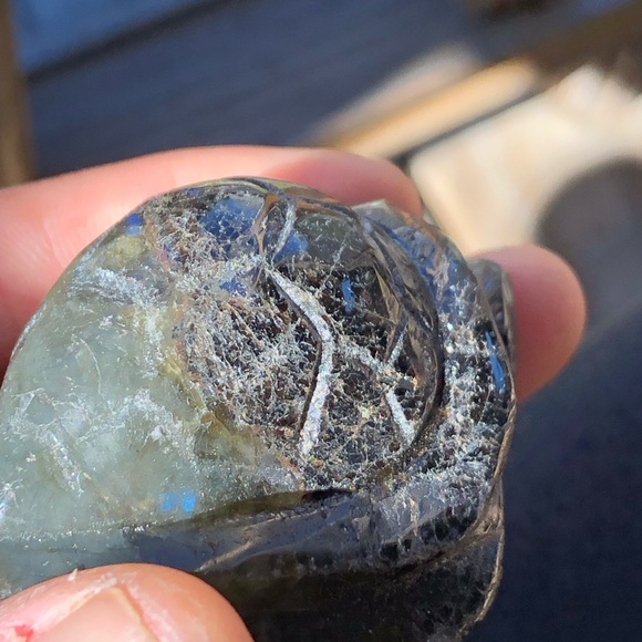 Labradorite Crystal Turtle - Picture 12 of 16